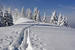 canvas print picture - fresh trail in the snow on a mountain slope in Bavaria