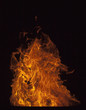© Steffen Eichner - feuer
