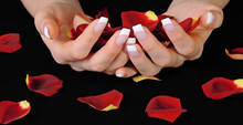 Hands With French Manicure Holding Red Rose Petals