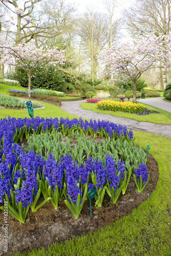 Tapeta ścienna Ogrody Keukenhof, Lisse, Holandia