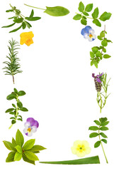 Sticker - Flower and Herb Leaf Frame