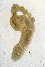 Wet Footprint On A Stone