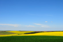 Green And Yellow Fields