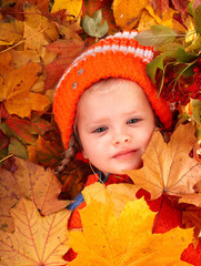 Wall Mural - girl in autumn orange leaf and red berry. outdoor.