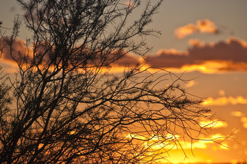 Poster - Sunset at Ayers Rock, Northern Territory, Australia, August 2009