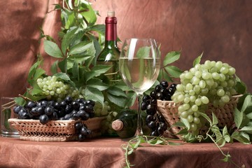 Wall Mural - White dry wine, fresh clusters of a grapes