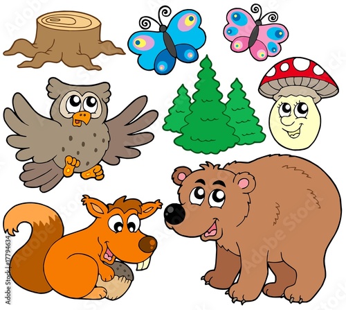 Obraz w ramie Forest animals collection 3