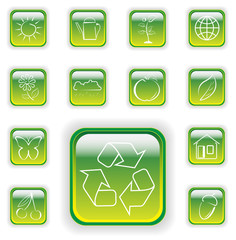 Bright green plant buttons