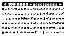 100 Dogs Icons And Dog Accessories,vector Pet Emblem, Dogs Staff