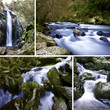 © carballo - agua, naturaleza y recursos naturales