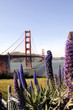 World famous Golden Gate Bridge, San Francisco