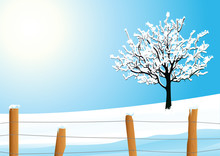Winter Landscape With Tree