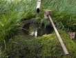 Brunnen mit Bambusrohr