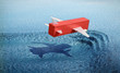 Air cargo concept - container flying over the ocean's surface