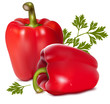 Photorealistic vector illustration of red sweet peppers.