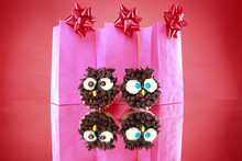 Kid's Party Wise Owl Cupcakes And Gift Bags