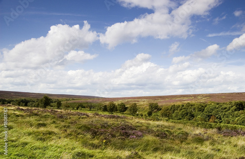 Obraz na płótnie canvas czteroczęściowy "tetraptyk" Moorland vista