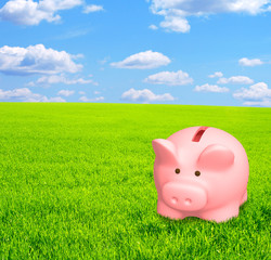 Wall Mural - Piggy bank