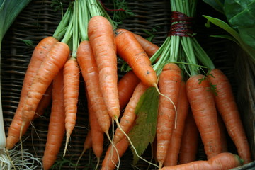 carrot, carrots, market