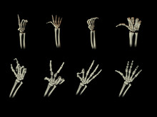 3d Render Of A Gesturing Skeleton Hand