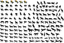 Silhouettes Of Horses