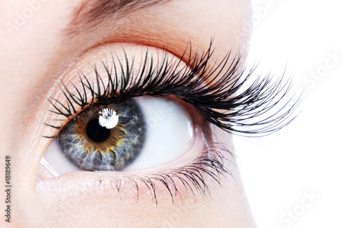 Fotomural Beauty female eye with curl long false eyelashes