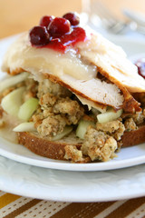 Poster - Hot Turkey Sandwich