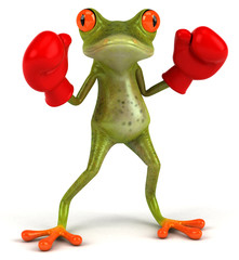 Poster - Grenouille boxe