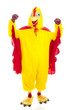 © Lisa F. Young - Chicken Power