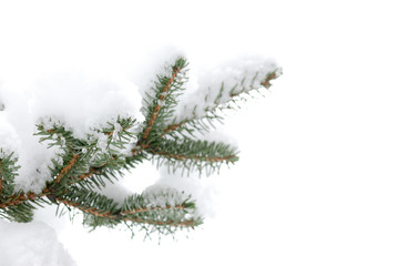 Sticker - Pine tree with snow