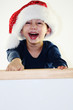 © Natallia Vintsik - Weihnachten