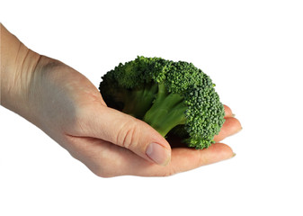 Broccoli isolated on the white