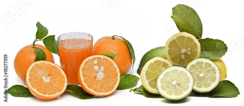 Nowoczesny obraz na płótnie Naranjas y limones.