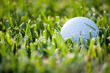 Close-up of a golf ball lying in green grass