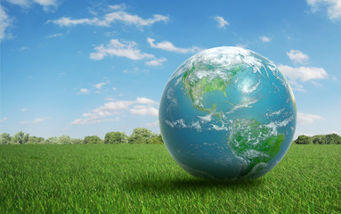 realistic earth on a green field of grass