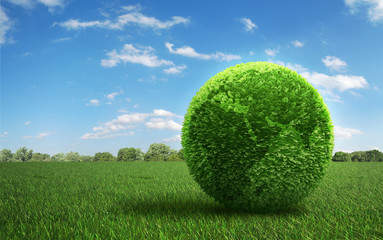 leaf covered earth on a green field of grass