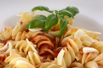 spaghetti with organic home made tomato sauce