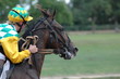 © bleudardoise - course de trotteur