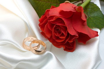 Two gold wedding rings and red rose over white satin