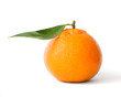 Isolated fresh mandarin