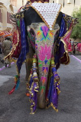 Gangaur Festival-Jaipur