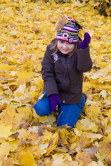 Wall Mural - fall