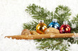 canvas print picture - weihnachten 3