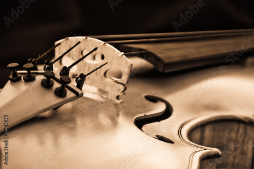 Dekoracja na wymiar  skrzypce-na-skrzypcach