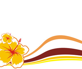 hawaiian background6