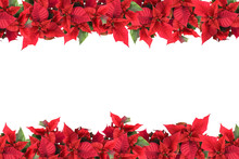 Christmas Frame From Poinsettias Isolated On White