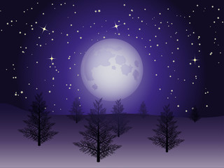 christmas landscape