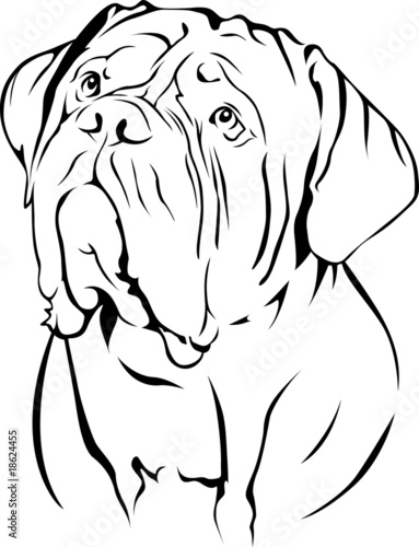 Obraz na płótnie canvas trzyczęściowy "tryptyk" Dogue de bordeaux - portret