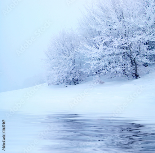 Naklejka dekoracyjna Winter trees