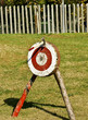 © mcphotos - Hacha clavada en la diana